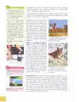 Pág 125