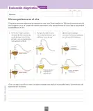 Miniatura página 79 de Ciencias Naturales – Séptimo Básico | Texto del Estudiante MINEDUC – Descargar PDF · 2024