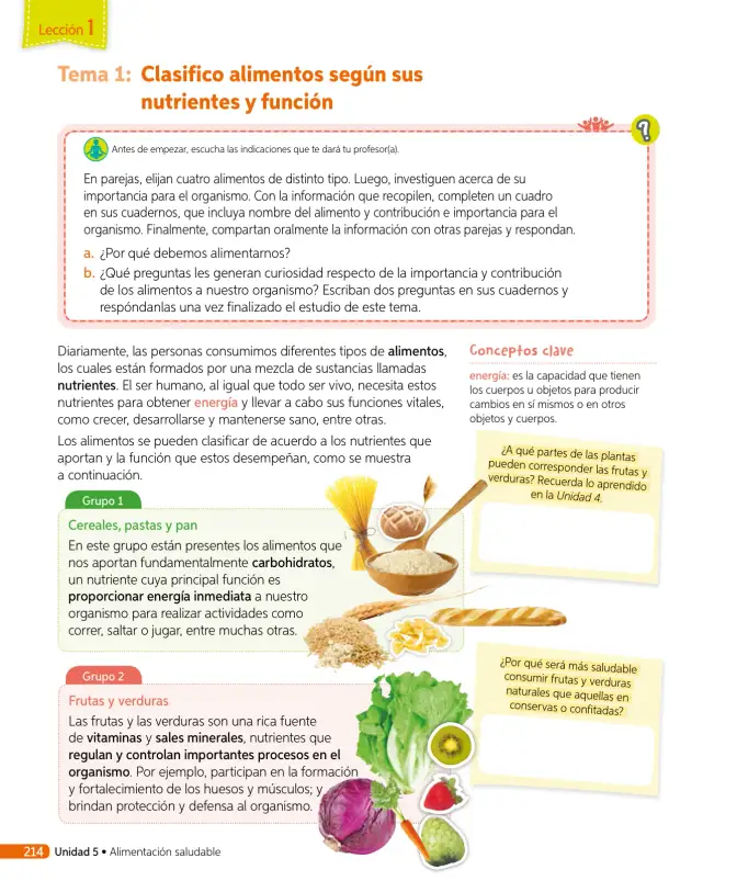 Página 233 de Ciencias Naturales – Tercero Básico | Texto del Estudiante MINEDUC – Descargar PDF · 2024