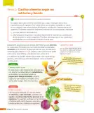 Miniatura página 233 de Ciencias Naturales – Tercero Básico | Texto del Estudiante MINEDUC – Descargar PDF · 2024