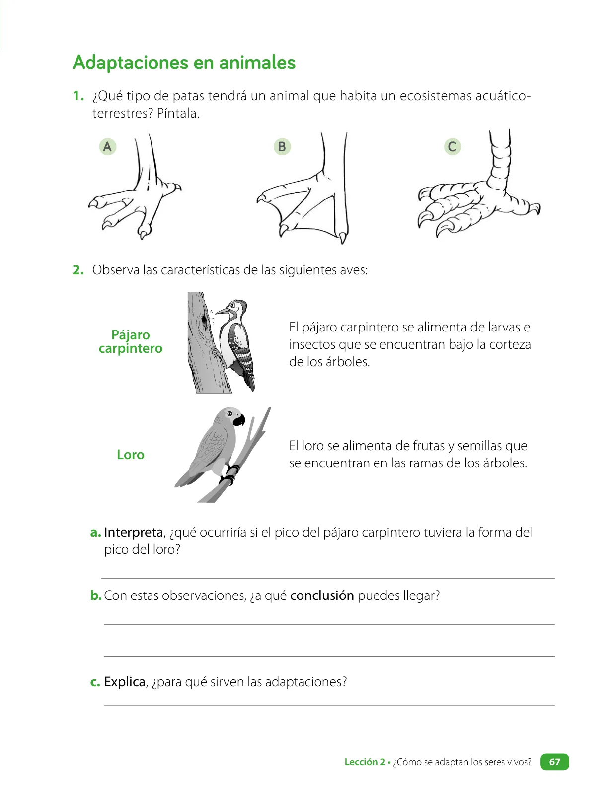 Página 69 de Ciencias Naturales – Cuarto Básico | Texto del Estudiante MINEDUC – Descargar PDF · 2024