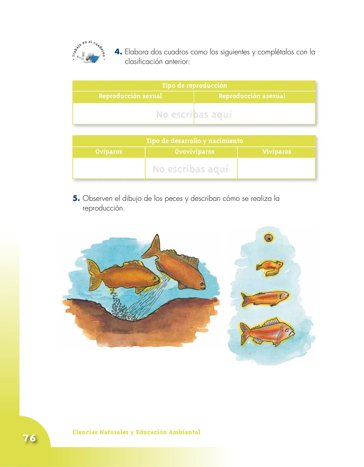 Página 76 de Ciencias Naturales 4° · Cartilla 01