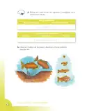 Miniatura página 76 de Ciencias Naturales 4° · Cartilla 01