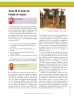 Miniatura página 289 de Ciencias Naturales 8° · Secundaria Activa