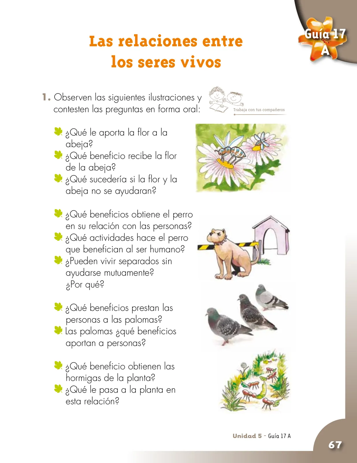 Miniatura página 67 de Ciencias Naturales 2° · Cartilla 02