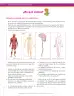 Miniatura página 246 de Ciencias Naturales 8° · Secundaria Activa
