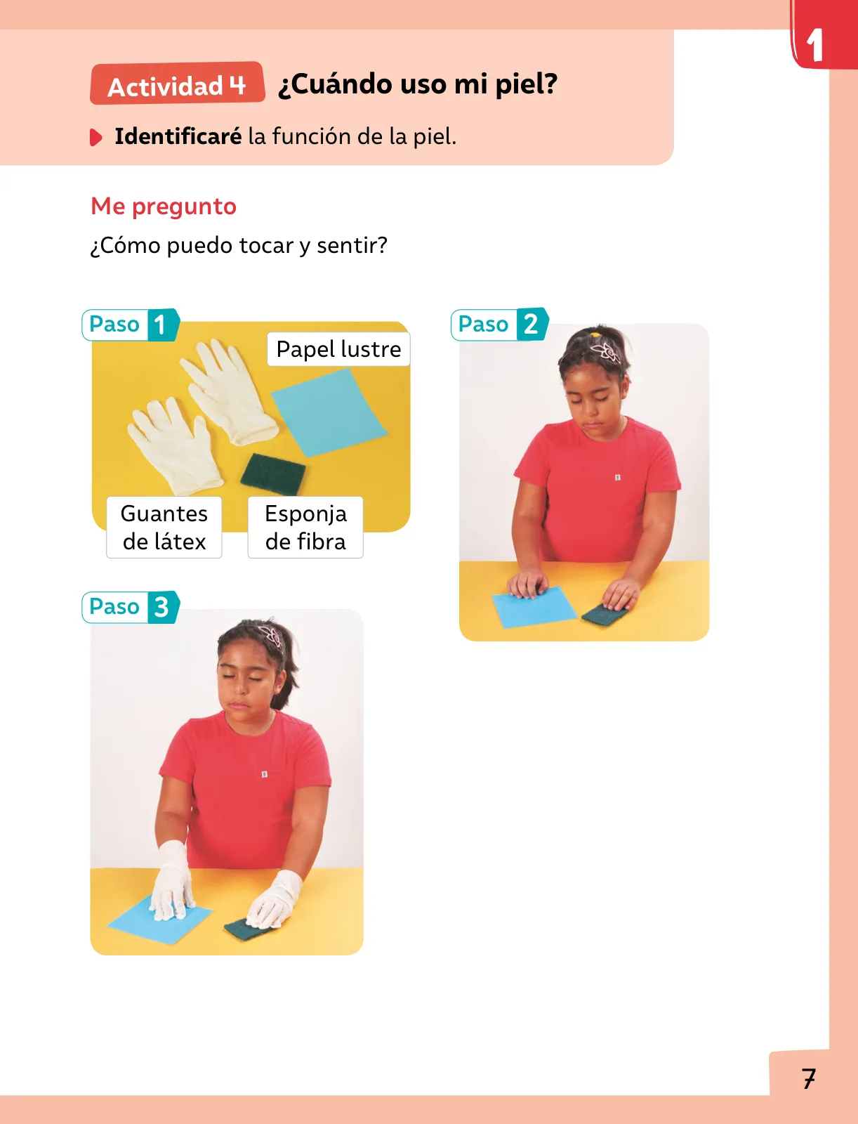 Página 8 de Ciencias Naturales – Primero Básico | Texto del Estudiante (MINEDUC) – Descargar PDF · 2024