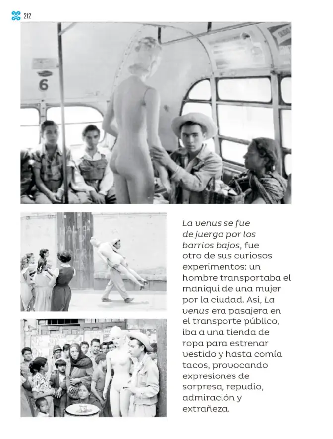 Página 213 de Múltiples lenguajes. Libro de Educación Primaria Grado 1° Ciclo Escolar 2025 - 2026