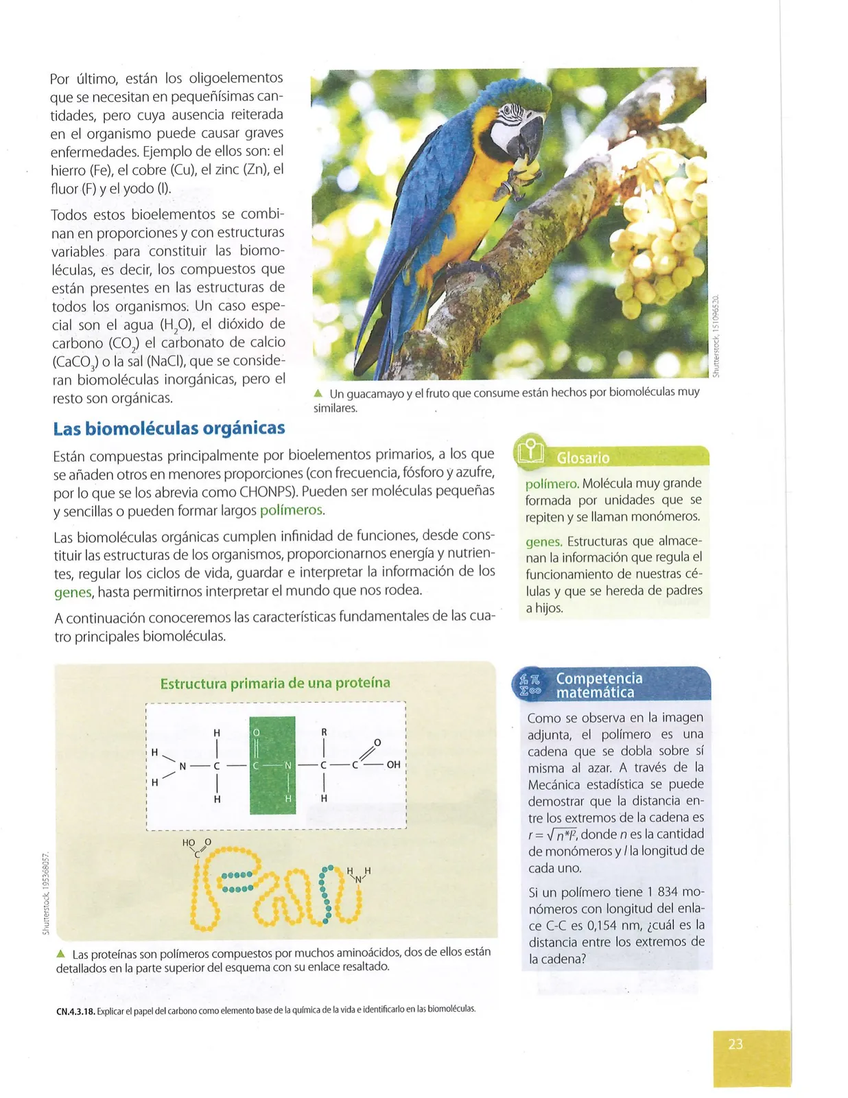 Miniatura página 24 de Ciencias Naturales · 9 EGB · 2024