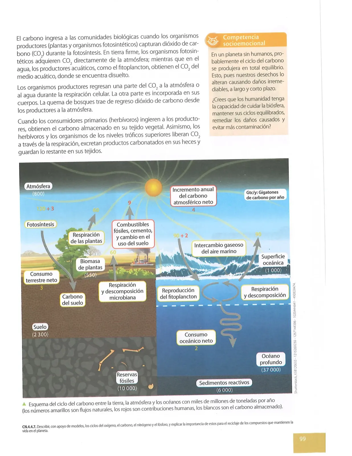 Pág 98