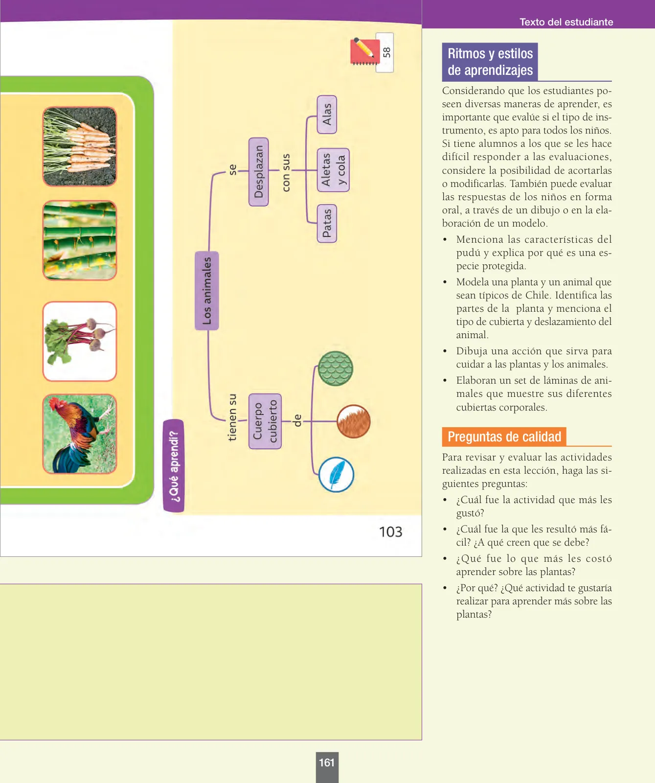 Miniatura página 162 de Ciencias Naturales – Primero Básico | Texto del Estudiante (MINEDUC) – Descargar PDF · 2024