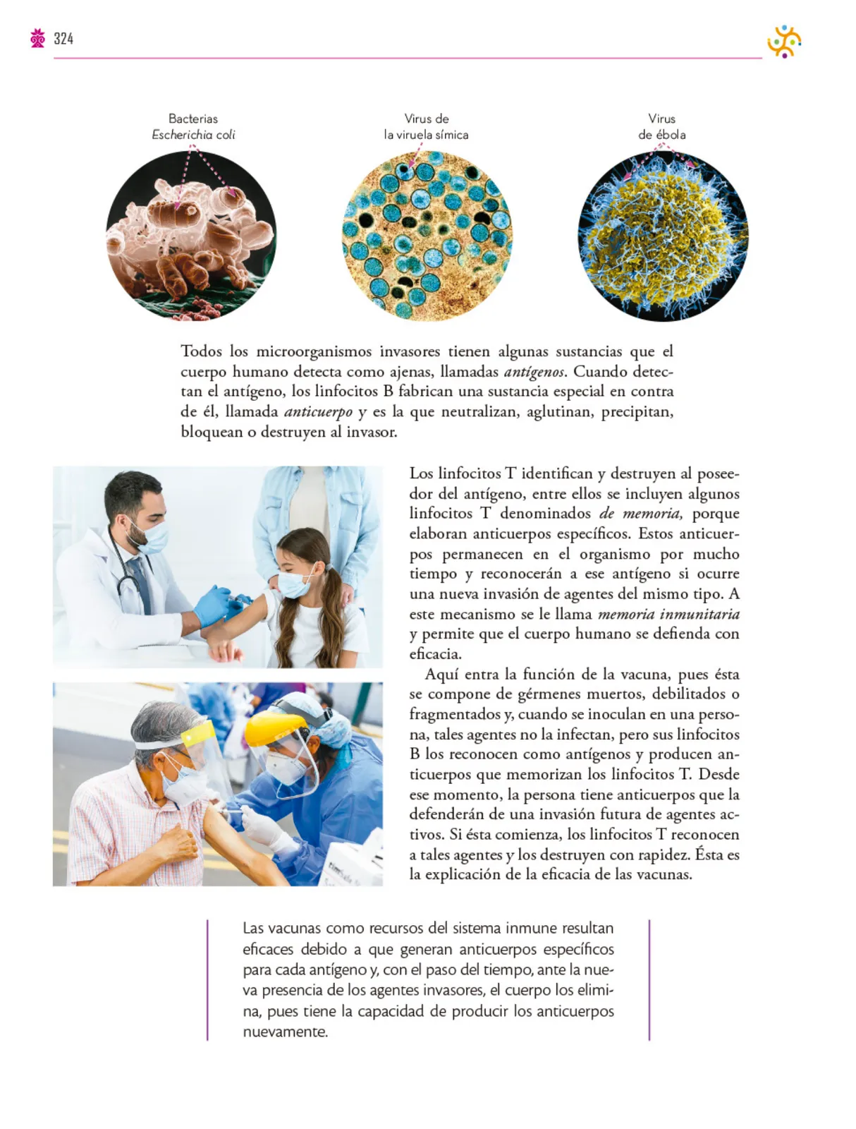 Página 325 de Colección Ximhai. Saberes y pensamiento científico. Libro de Educación Secundaria Grado 1° Ciclo Escolar 2025 - 2026