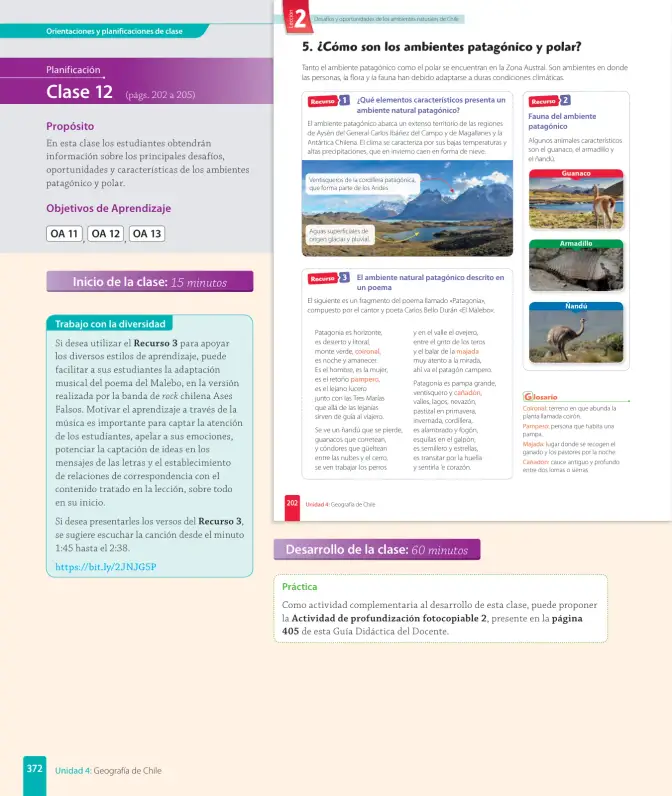 Página 162 de Historia, Geografía y Ciencias Sociales – Sexto Básico | Texto del Estudiante MINEDUC – Descargar PDF · 2024