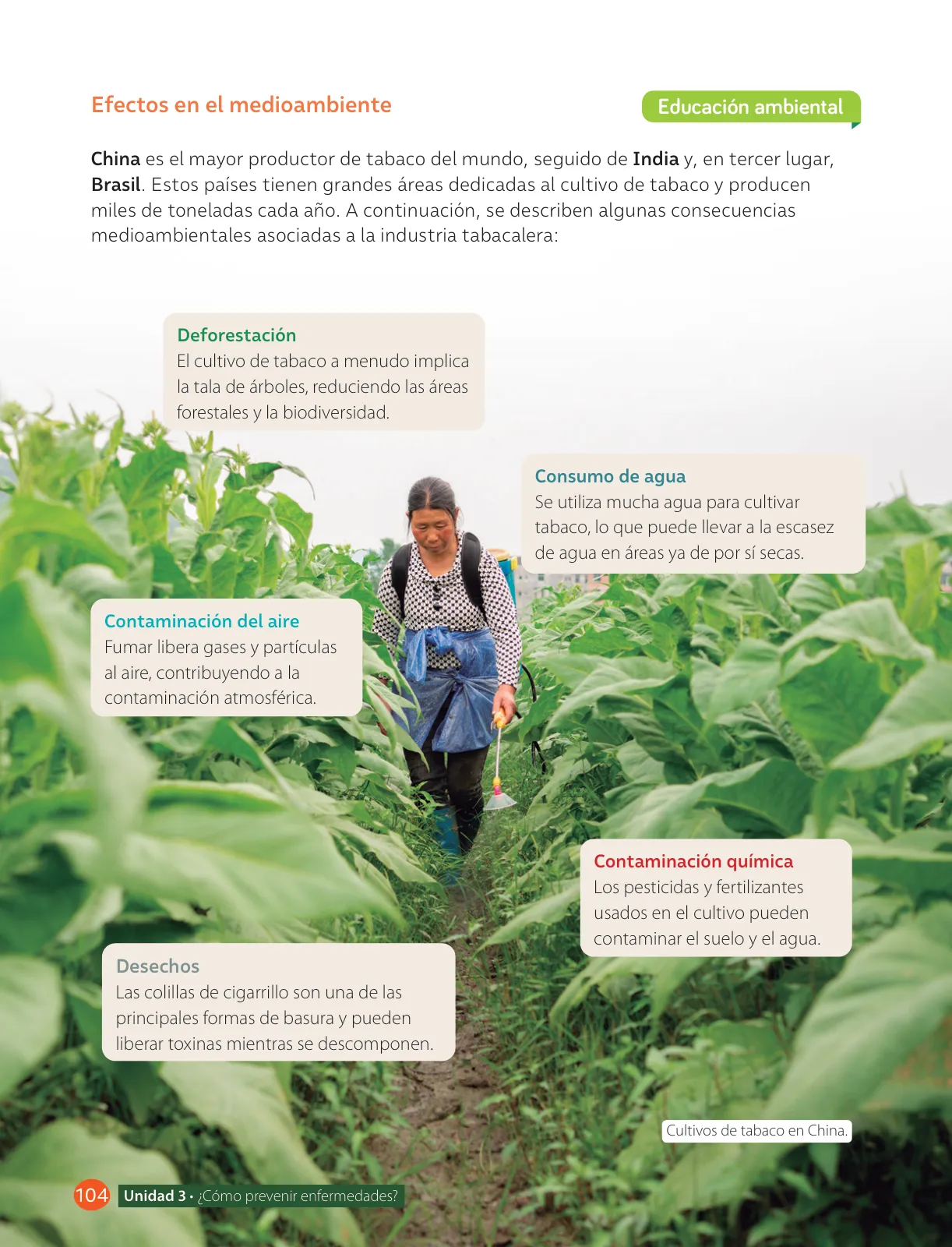Página 106 de Libro de Ciencias Naturales – Quinto Básico | Texto del Estudiante MINEDUC – Descargar PDF · 2024