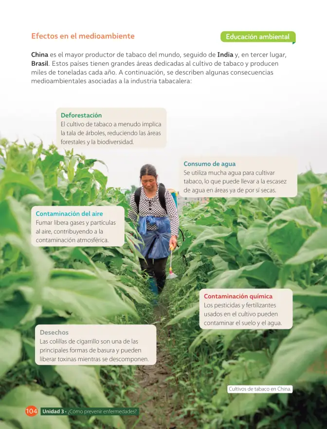 Página 106 de Libro de Ciencias Naturales – Quinto Básico | Texto del Estudiante MINEDUC – Descargar PDF · 2024