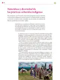 Miniatura página 183 de Colección Sk´asolil. Lenguajes.   Libro de Educación Secundaria Grado 2°  Ciclo Escolar 2025 - 2026
