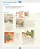 Miniatura página 153 de Inglés – Octavo Básico | Student’s Book MINEDUC – Descargar PDF · 2024