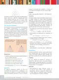 Miniatura página 10 de Fichas de Matemática 3 · 2024