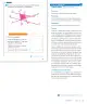 Miniatura página 59 de Sumo Primero – Segundo Básico | Texto del Estudiante MINEDUC – Descargar PDF · 2024