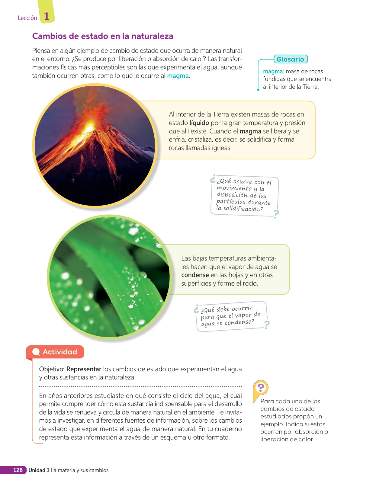 Página 291 de Libro de Ciencias Naturales – Quinto Básico | Texto del Estudiante MINEDUC – Descargar PDF · 2024