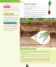 Miniatura página 119 de Ciencias Naturales – Octavo Básico | Texto del Estudiante MINEDUC – Descargar PDF · 2024