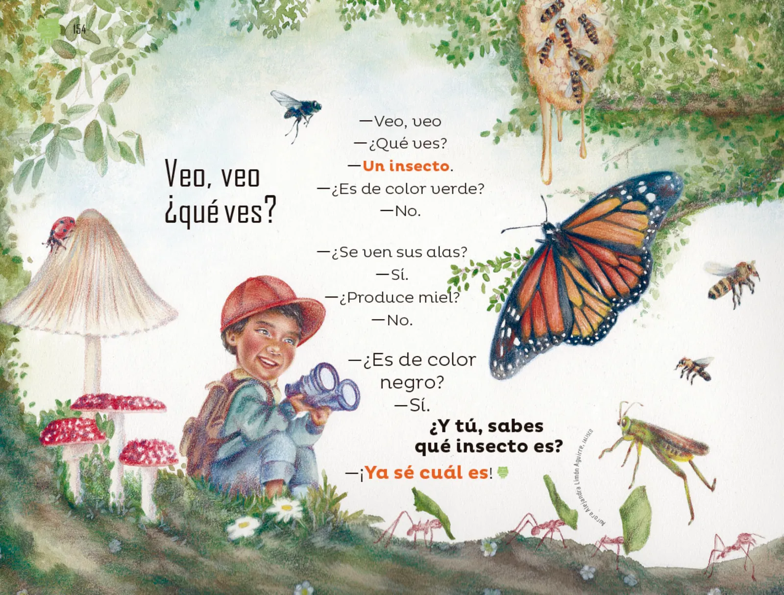 Miniatura página 155 de Múltiples lenguajes.   Libro de Educación Preescolar Grado 2°  Ciclo Escolar 2025 - 2026
