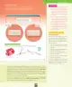 Miniatura página 104 de Ciencias Naturales – Séptimo Básico | Texto del Estudiante MINEDUC – Descargar PDF · 2024