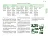 Miniatura página 54 de Posibilidades de trabajo para la acción transformadora y el codiseño. Ficheros. Fase 2  Libro de Educación Preescolar Grado 1°, 2°, 3°  Ciclo Escolar 2025 - 2026