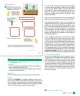 Miniatura página 97 de Sumo Primero – Cuarto Básico | Texto del Estudiante MINEDUC – Descargar PDF · 2024