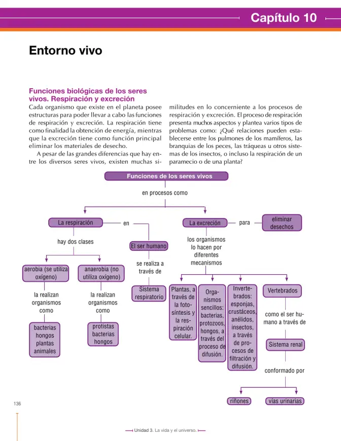 Página 136 de Ciencias Naturales 7° · Secundaria Activa