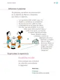 Miniatura página 208 de Proyectos Escolares.   Libro de Educación Primaria Grado 1°  Ciclo Escolar 2025 - 2026