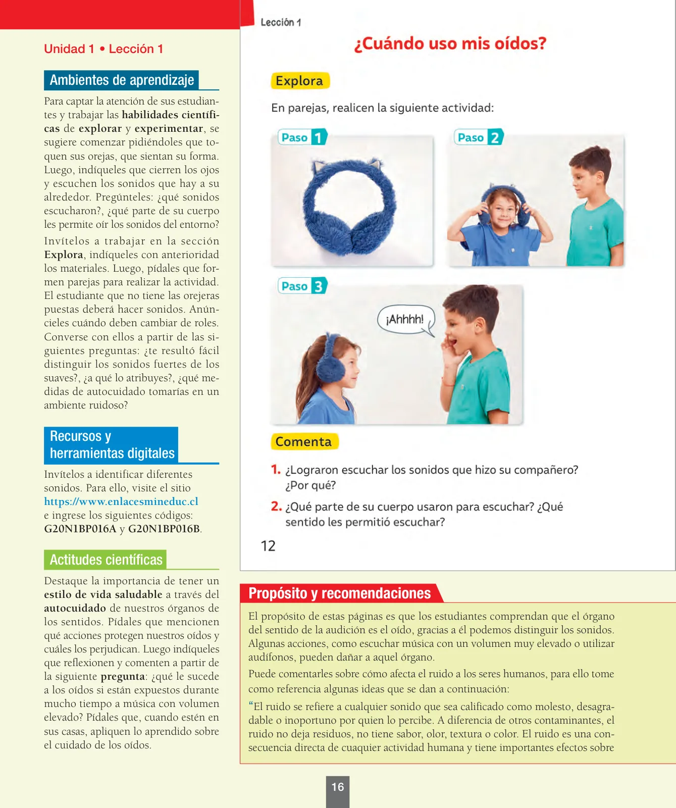 Miniatura página 17 de Ciencias Naturales – Primero Básico | Texto del Estudiante (MINEDUC) – Descargar PDF · 2024