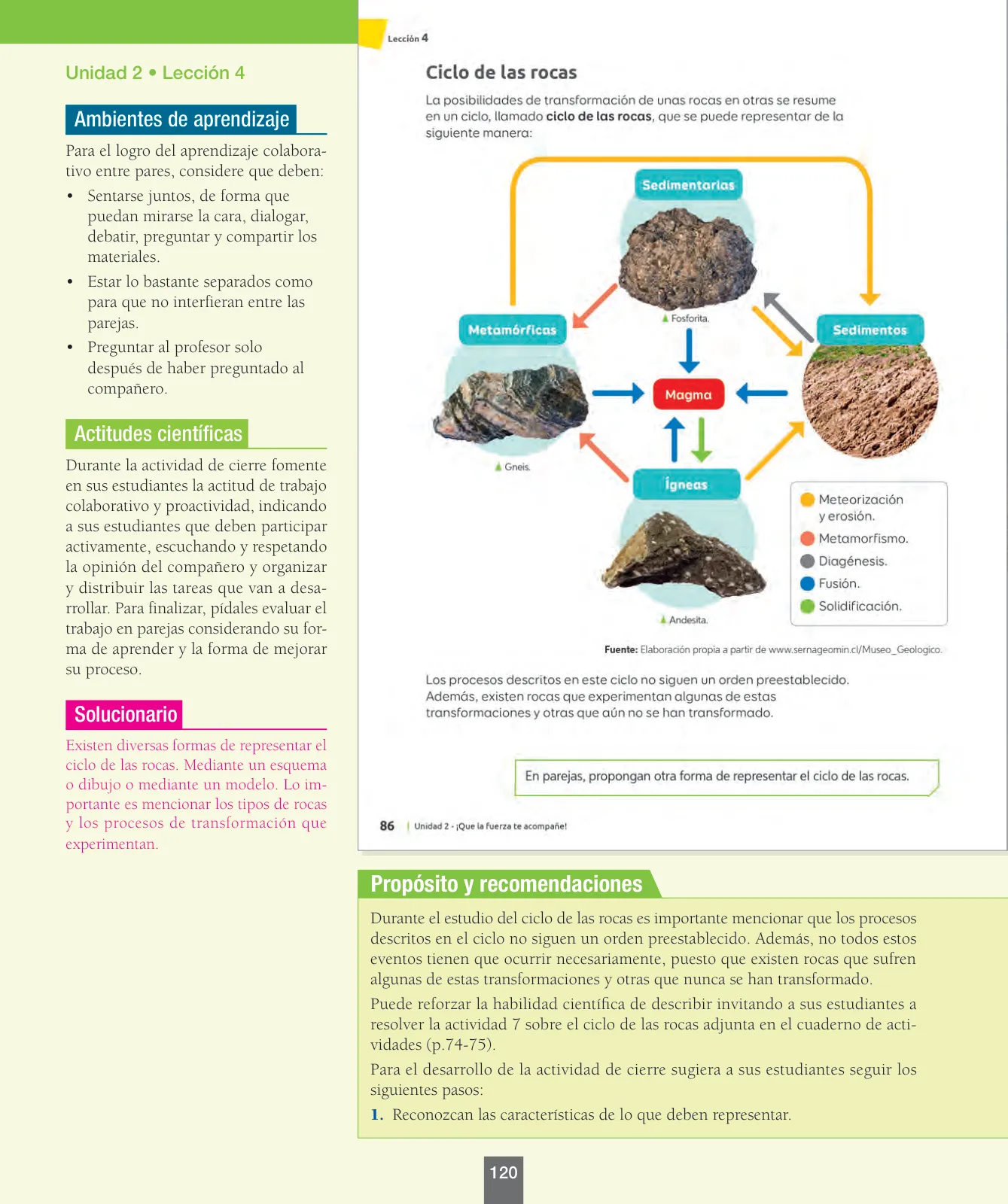 Página 121 de Ciencias Naturales – Séptimo Básico | Texto del Estudiante MINEDUC – Descargar PDF · 2024