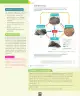 Miniatura página 121 de Ciencias Naturales – Séptimo Básico | Texto del Estudiante MINEDUC – Descargar PDF · 2024