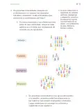 Miniatura página 26 de Proyectos de Aula.   Libro de Educación Primaria Grado 4°  Ciclo Escolar 2025 - 2026