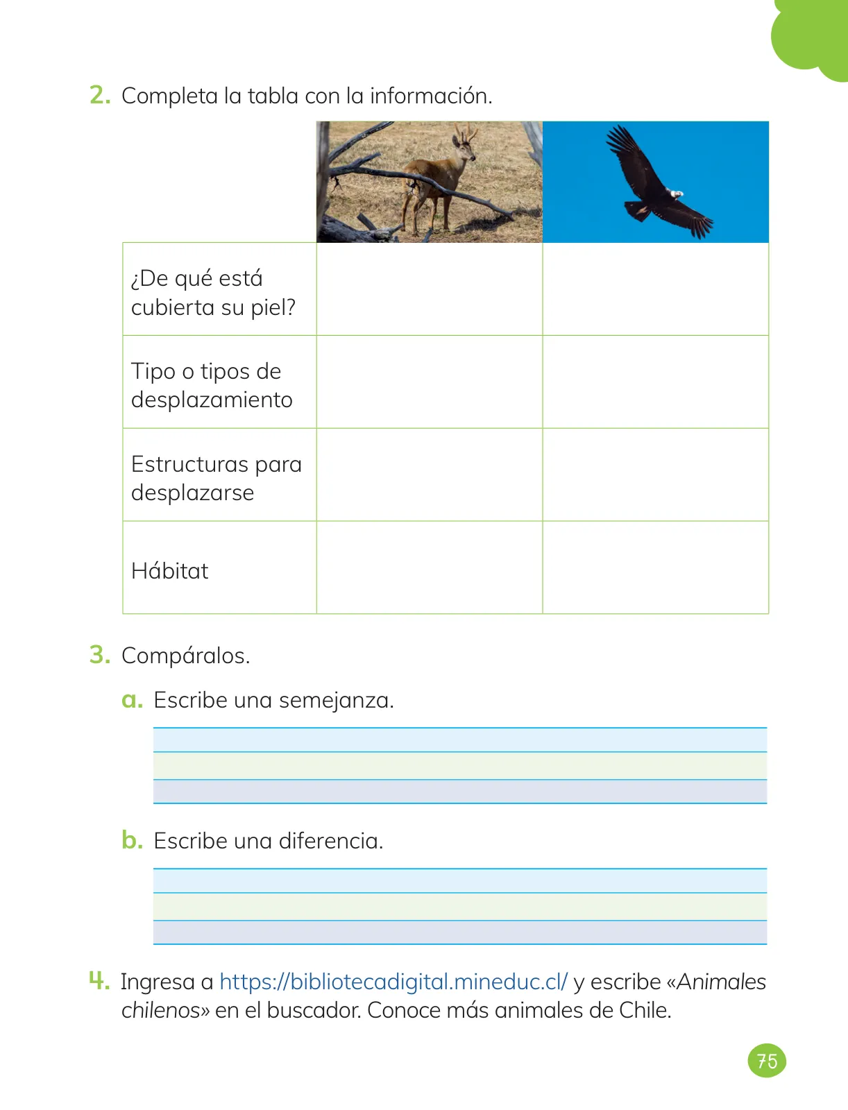 Página 77 de Ciencias Naturales – Primero Básico | Texto del Estudiante (MINEDUC) – Descargar PDF · 2024