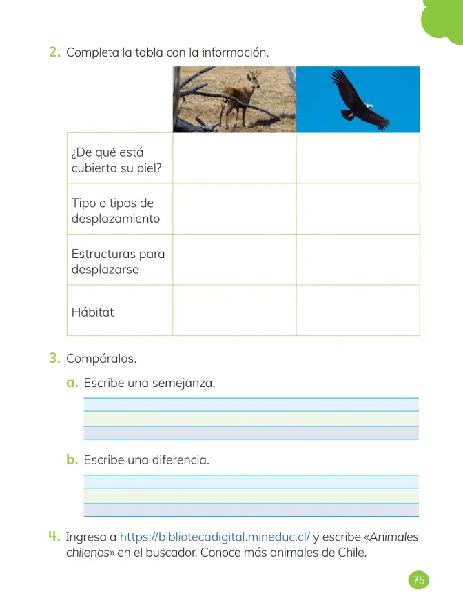 Página 77 de Ciencias Naturales – Primero Básico | Texto del Estudiante (MINEDUC) – Descargar PDF · 2024