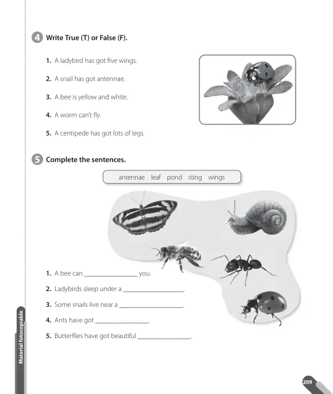 Página 73 de Inglés – Cuarto Básico | Texto del Estudiante MINEDUC – Descargar PDF · 2024