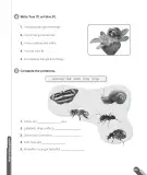 Miniatura página 73 de Inglés – Cuarto Básico | Texto del Estudiante MINEDUC – Descargar PDF · 2024