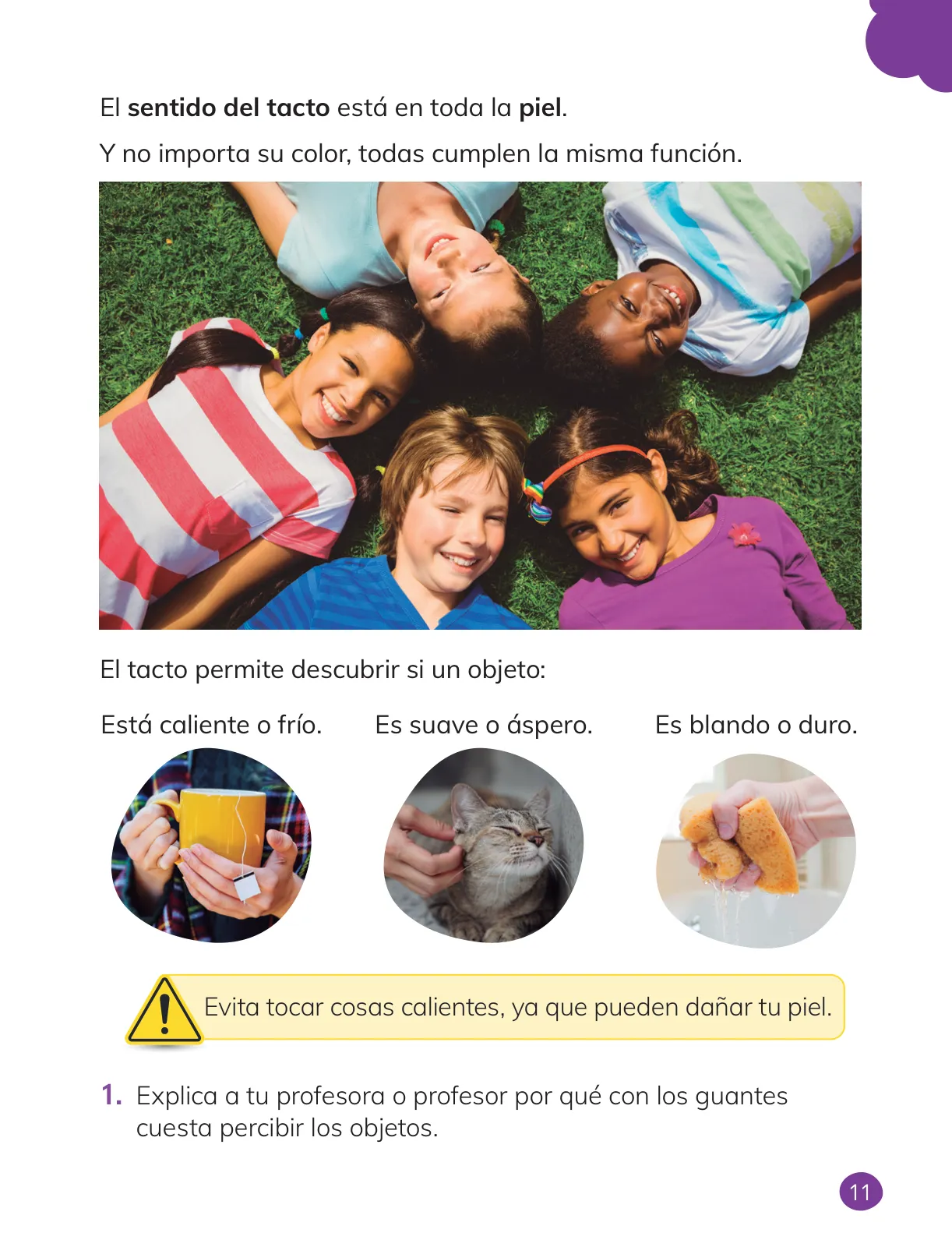 Página 13 de Ciencias Naturales – Primero Básico | Texto del Estudiante (MINEDUC) – Descargar PDF · 2024