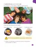 Miniatura página 13 de Ciencias Naturales – Primero Básico | Texto del Estudiante (MINEDUC) – Descargar PDF · 2024