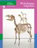 Miniatura página 1 de Colección Ximhai. Múltiples lenguajes.   Libro de Educación Telesecundaria Grado 1°  Ciclo Escolar 2025 - 2026