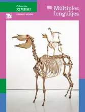 Portada de Colección Ximhai. Múltiples lenguajes. Libro de Educación Telesecundaria Grado 1° Ciclo Escolar 2025 - 2026