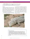 Pág 98