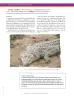 Miniatura página 98 de Ciencias Naturales 6° · Secundaria Activa
