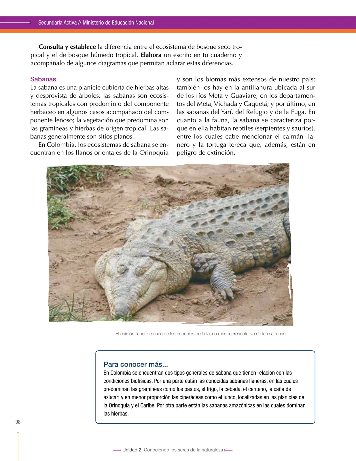 Página 98