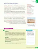 Miniatura página 84 de Lenguaje y Comunicación – Quinto Básico | Texto del Estudiante MINEDUC – Descargar PDF · 2024