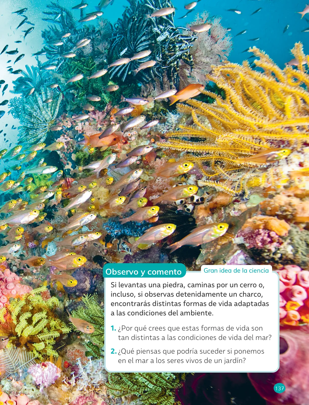 Página 139 de Ciencias Naturales – Cuarto Básico | Texto del Estudiante MINEDUC – Descargar PDF · 2024