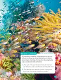 Miniatura página 139 de Ciencias Naturales – Cuarto Básico | Texto del Estudiante MINEDUC – Descargar PDF · 2024
