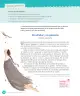 Miniatura página 94 de Lenguaje y Comunicación – Cuarto Básico | Texto del Estudiante MINEDUC – Descargar PDF · 2024